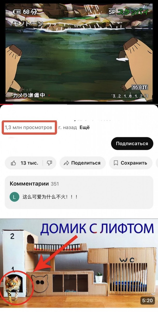 купить просмотры ютуб 