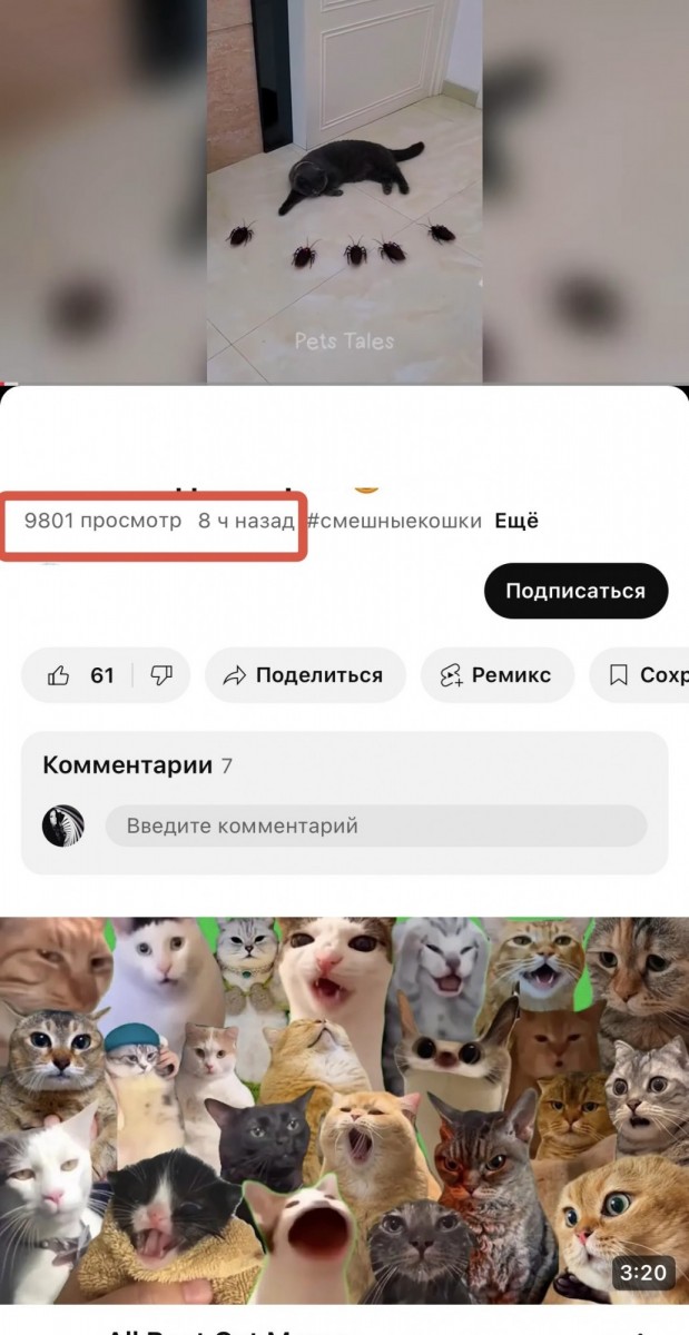 купить просмотры на youtube