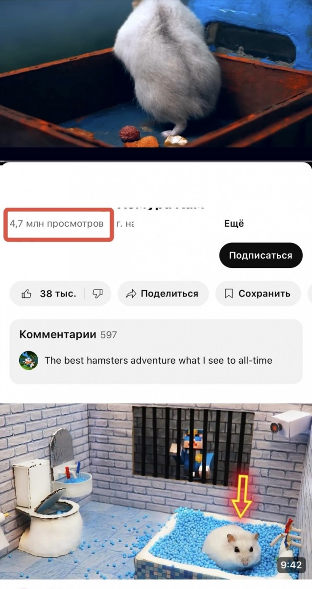 купить живые просмотры youtube