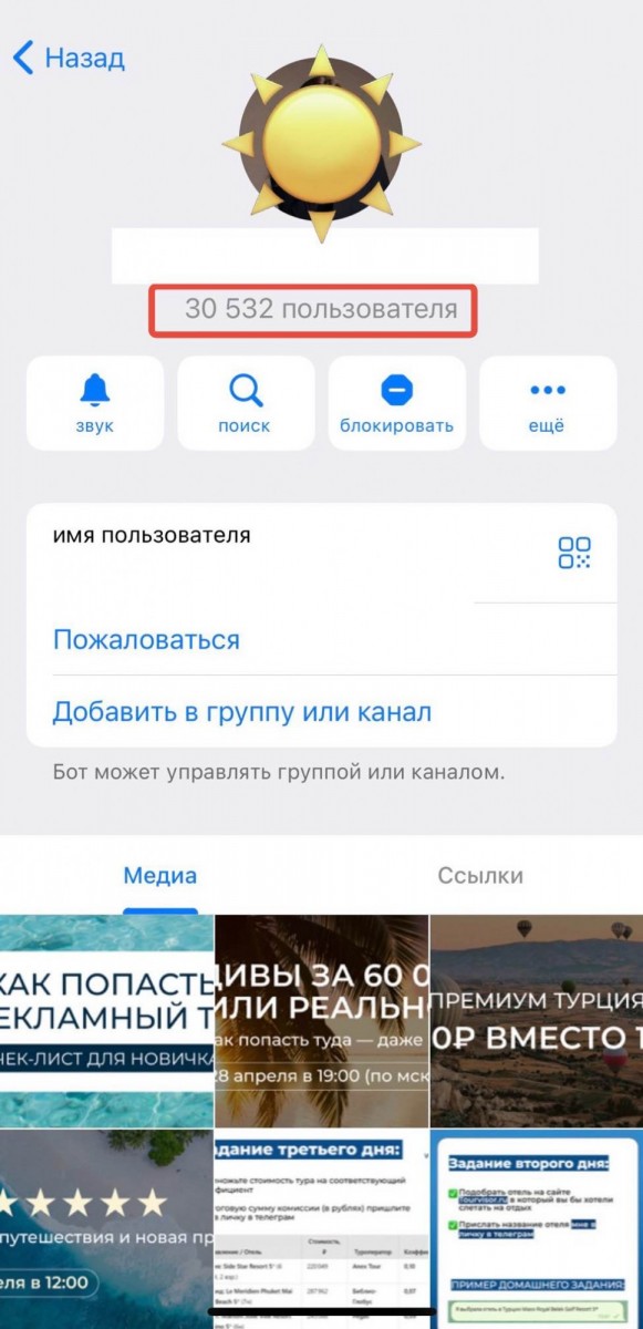 накрутка активных рефералов в телеграм
