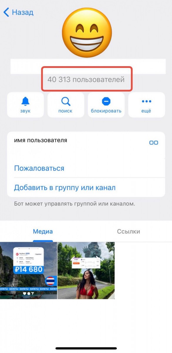 накрутка рефералов в телеграмме быстро