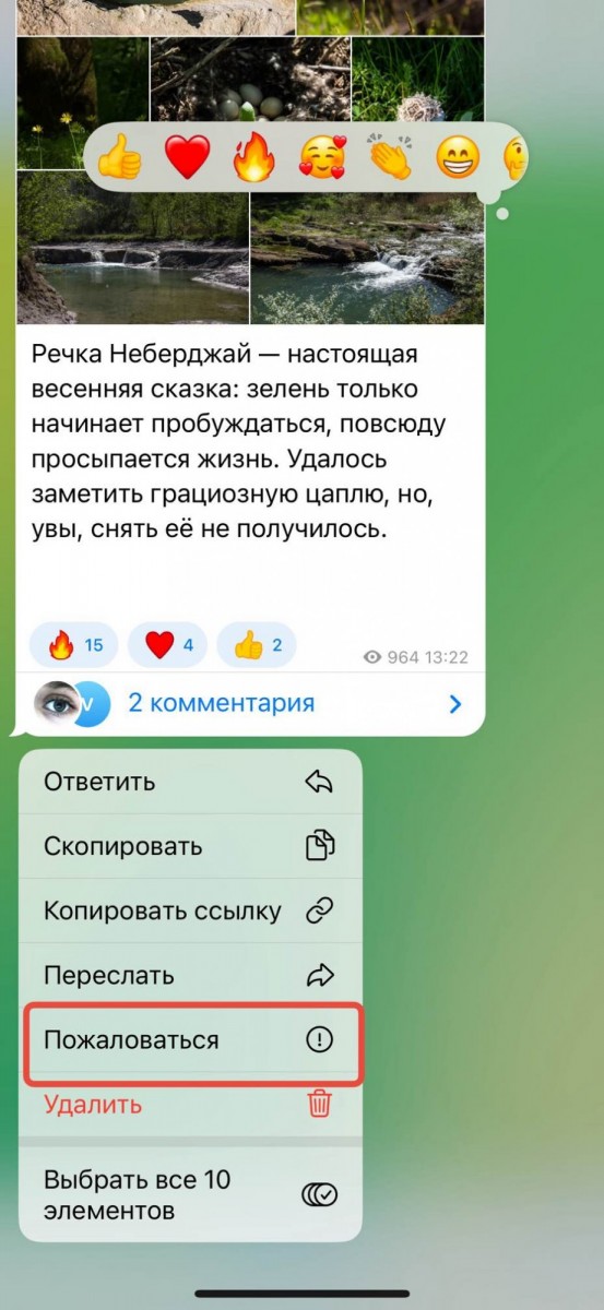накрутка жалоб телеграм бесплатно