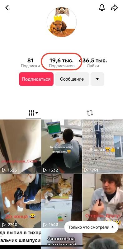 накрутка тик ток бесплатно боты
