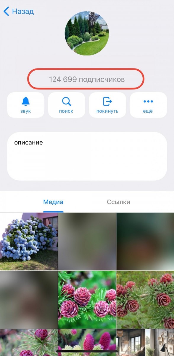 накрутить подписчиков в телеграм живых