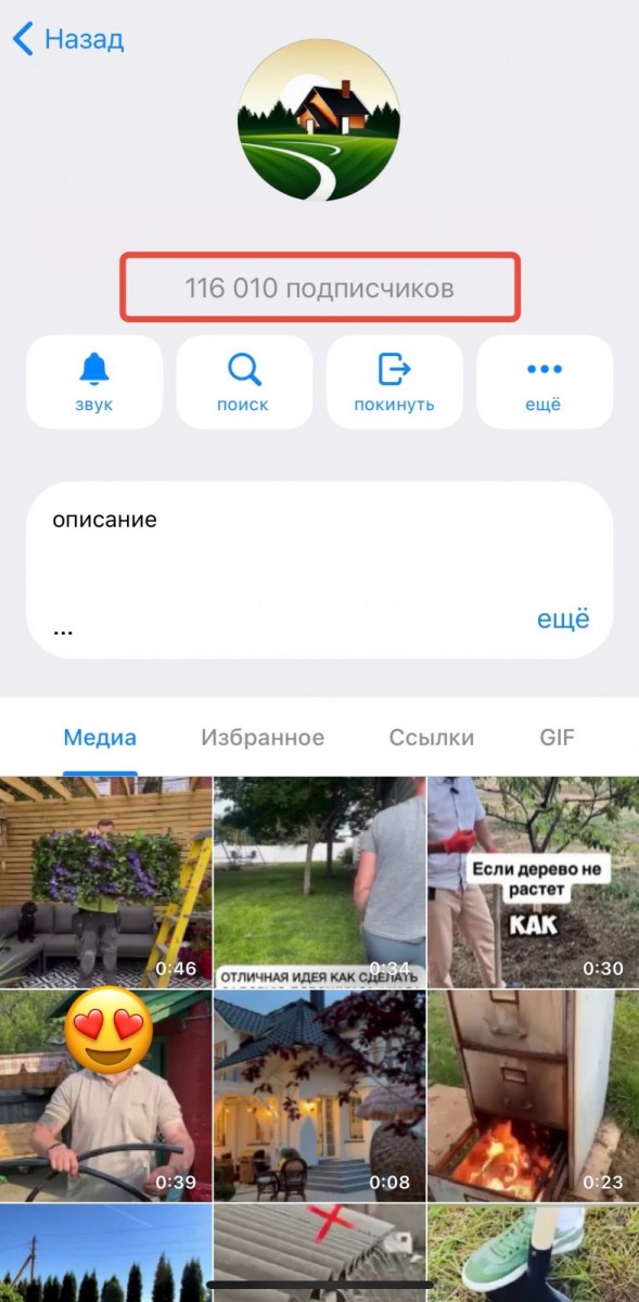 накрутка telegram бесплатно подписчиков