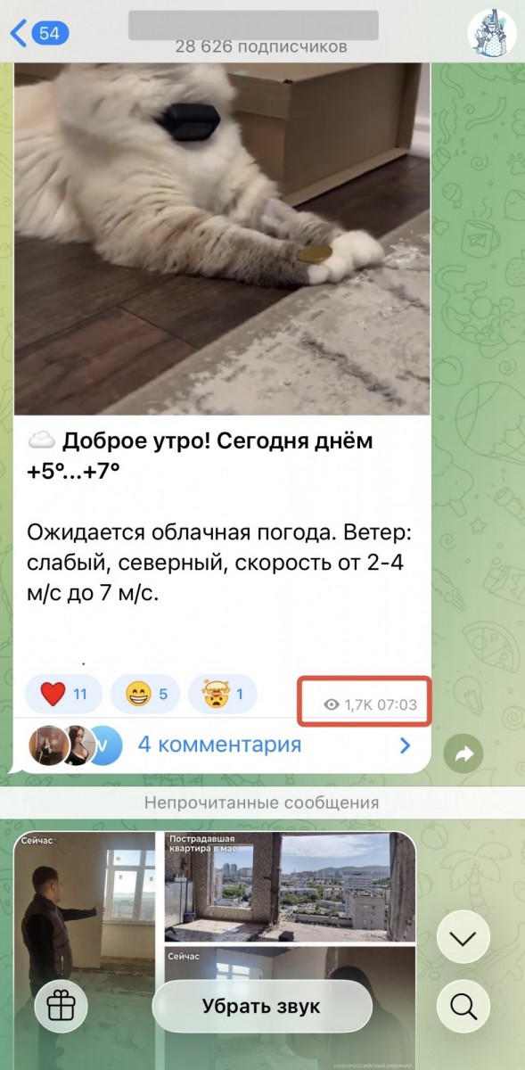 накрутка просмотров тг