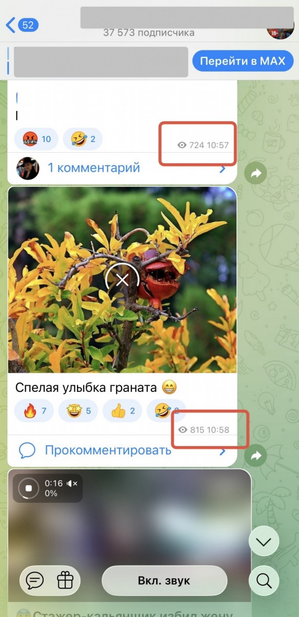 накрутка просмотров telegram