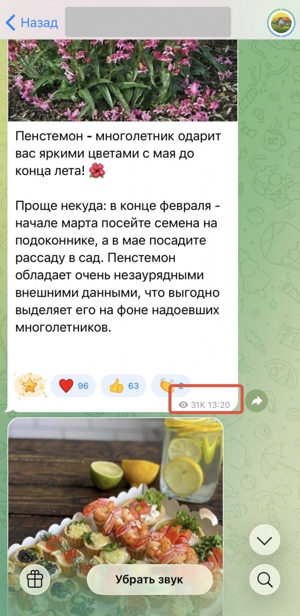 купить просмотры на пост телеграм