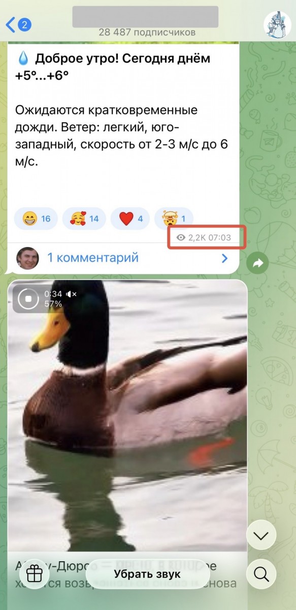 купить просмотры в телеграм