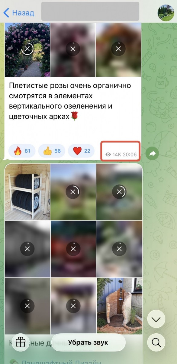 дешёвые просмотры телеграм