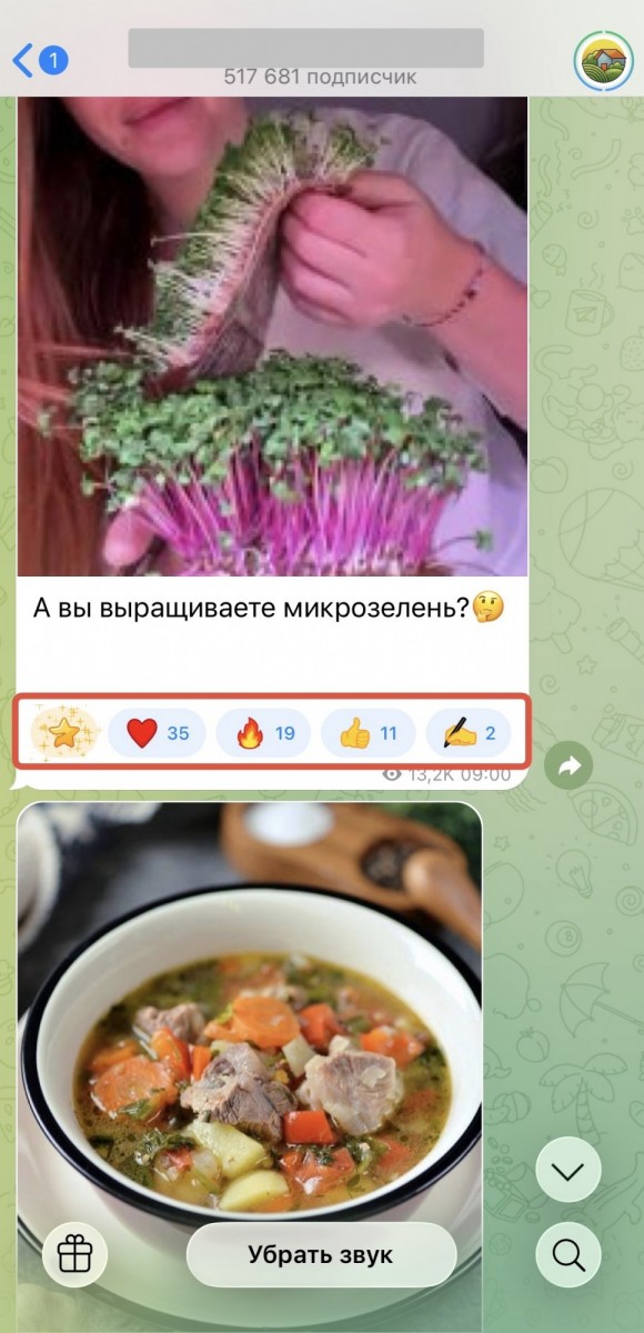 накрутка реакций в тг бесплатно онлайн