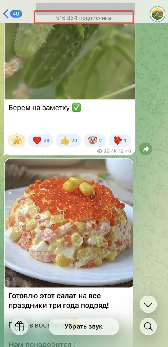 купить ботов в тг канал