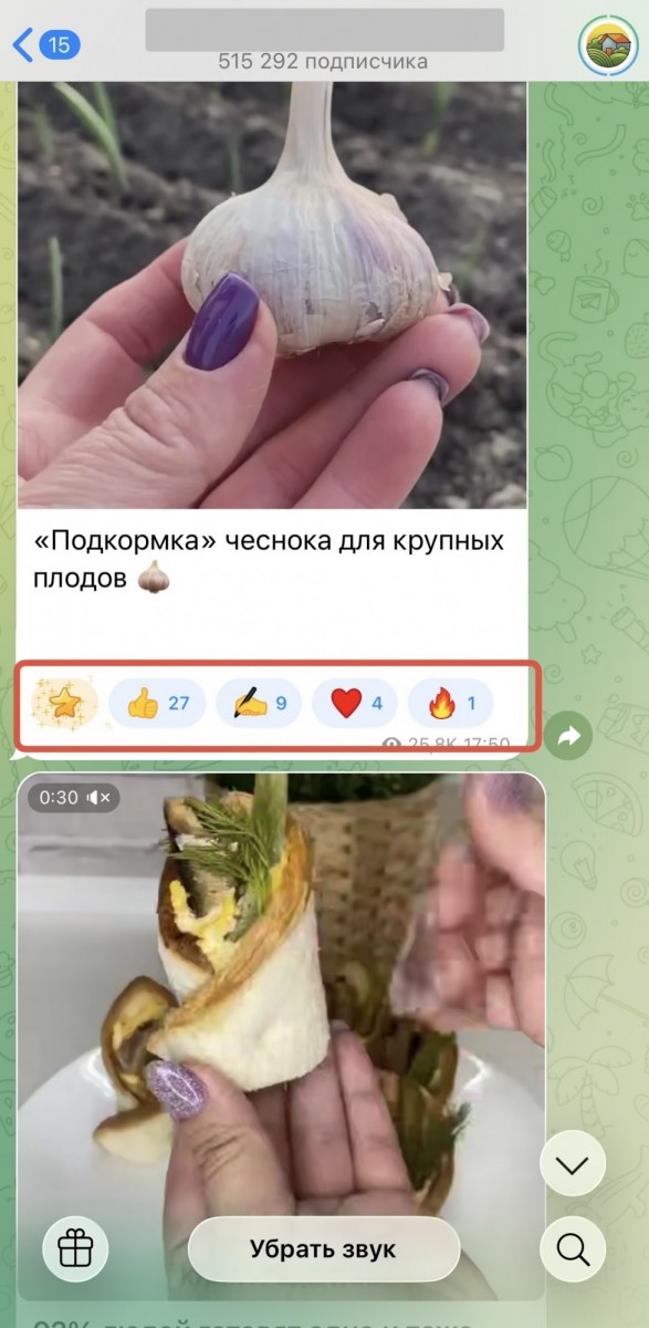 накрутка реакций в телеграмме