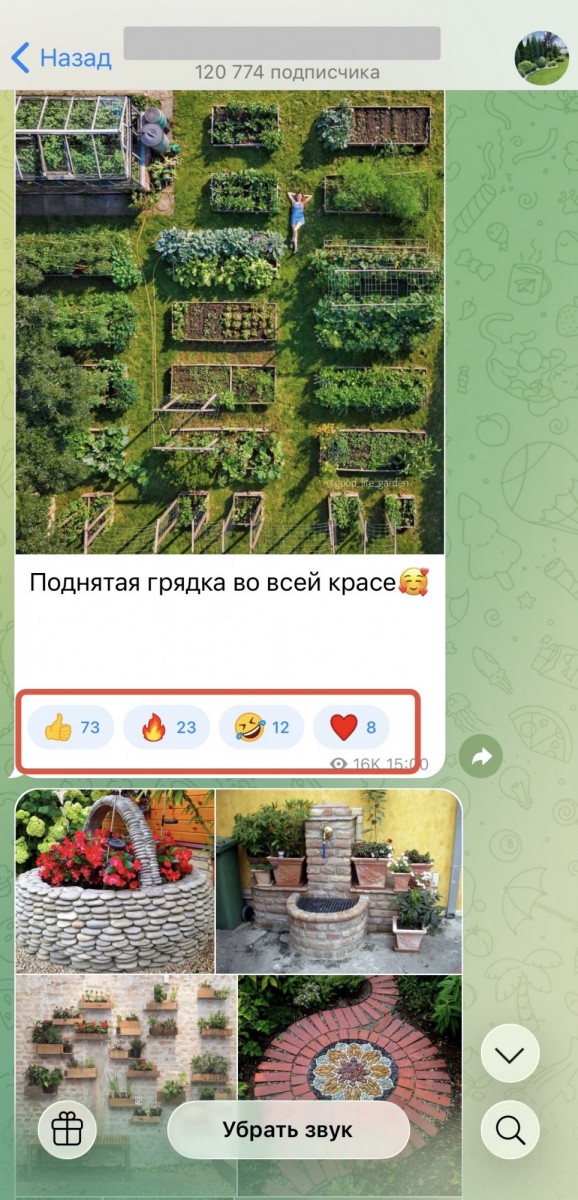 купить реакции в тг в закрытый канал