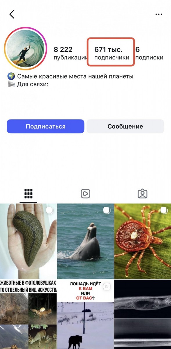 накрутка инста подписчиков бесплатно накрутка инста подписчиков бесплатно