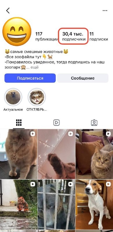 1000 подписчиков инстаграм бесплатно 1000 подписчиков инстаграм бесплатно