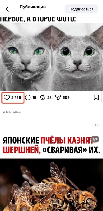 100 лайков бесплатно инстаграм 100 лайков бесплатно инстаграм