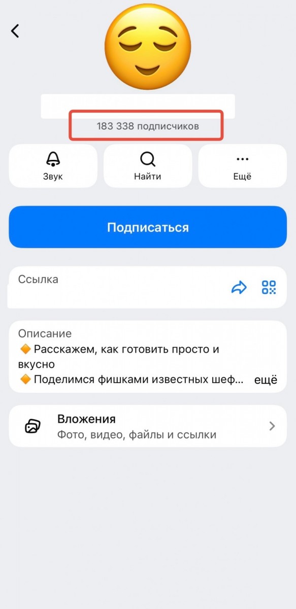 купить подписчиков на канал в мax